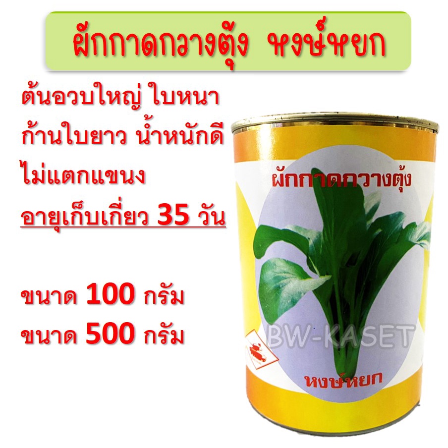 เมล็ดพันธุ์ผักกาดกวางตุ้ง-ผักกาดกวางตุ้ง-ขนาด100-และ-500กรัม-เมล็ดกวางตุ้ง-เมล็ดพันธุ์กวางตุ้ง-เมล็ดกวางตุ้งต้น