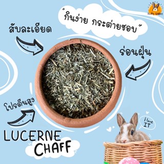 ถั่วอัลฟาฟ่าสับ (LUCERNE CHAFF) 📍สินค้าล้อตใหม่ เขียว หอม ร่อนฝุ่นอย่างดี - 500กรัม/1 กิโลกรัม