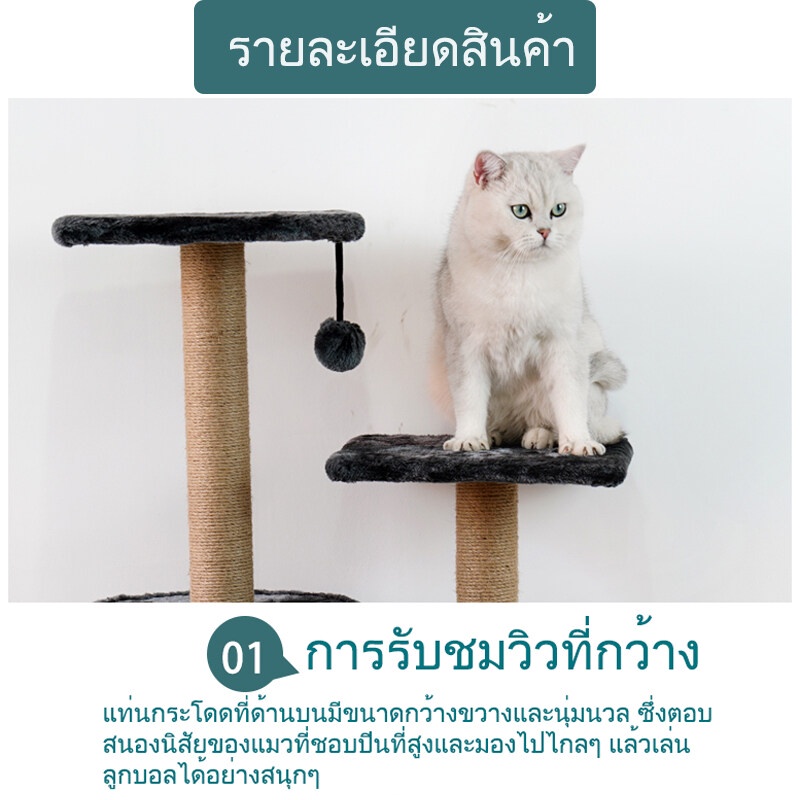 ภาพสินค้าส่งจากกทม. POP คอนโดแมว 135cm เตียงแมว ที่ลับเล็บแมว บ้านแมว เสาลับเล็บ ของเล่นแมว พร้อมของเล่น ปอมปอม กรอบปีนแมว จากร้าน 5rtz3mjfyx บน Shopee ภาพที่ 2
