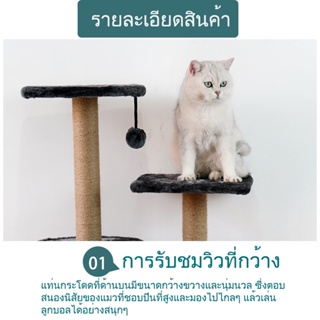 ภาพขนาดย่อของภาพหน้าปกสินค้าส่งจากกทม. POP คอนโดแมว 135cm เตียงแมว ที่ลับเล็บแมว บ้านแมว เสาลับเล็บ ของเล่นแมว พร้อมของเล่น ปอมปอม กรอบปีนแมว จากร้าน 5rtz3mjfyx บน Shopee ภาพที่ 2