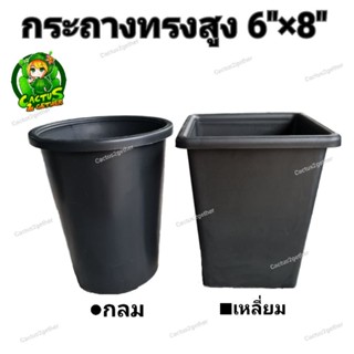 กระถางทรงสูงปลูกไม้กราฟ‼️ ทรงกลม/เหลี่ยม ขนาด6"×8" สีดำ