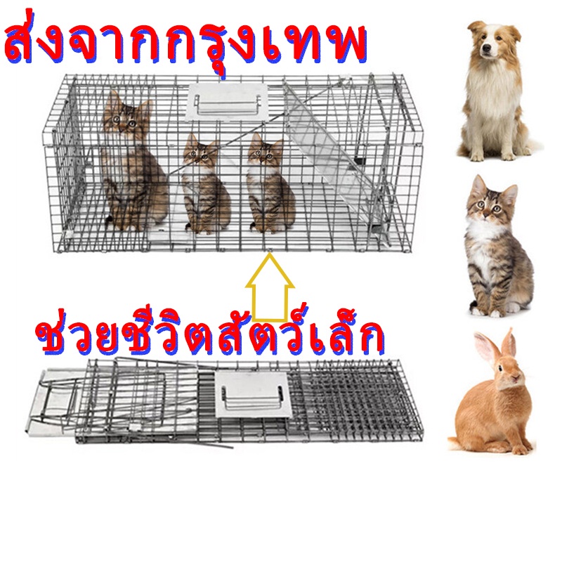 กรงดักแมว-ดักจับแมวจร-สามารถพับได้-จับแมวจรจัด-จับแมว-ดักจับแมว-ดักจับแมวจร-ไล่แมวแบบถาวร-แข็งแรง-งแมว-กับดัก