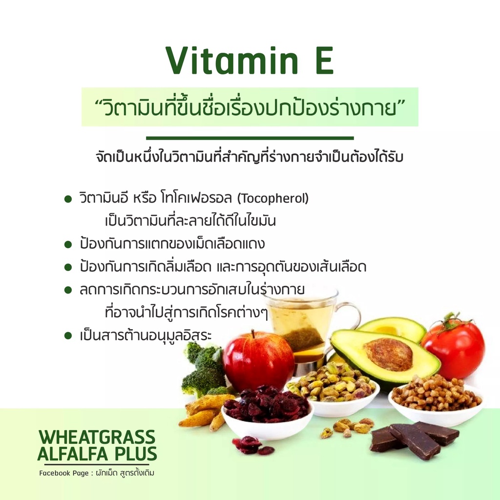 wheatgrass-amp-alfalfa-plus-ผลิตภัณฑ์อาหารเสริมแอมสตรอง-วีทกราส-อัลฟัลฟ่าพลัส-ผักเม็ดแท้-อาหารเสริมเพื่อสุขภาพ-สูตรดั้งเดิม