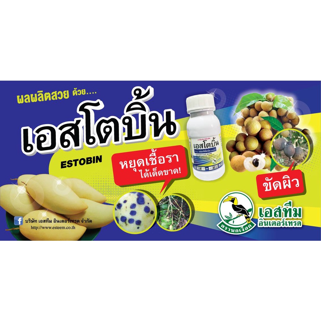 เอสโตบิ้น-ขนาด-500-ซีซี