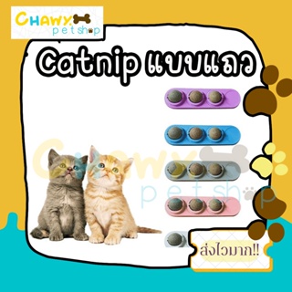 catnip ของเล่นน้องแมว ของเล่นแมว