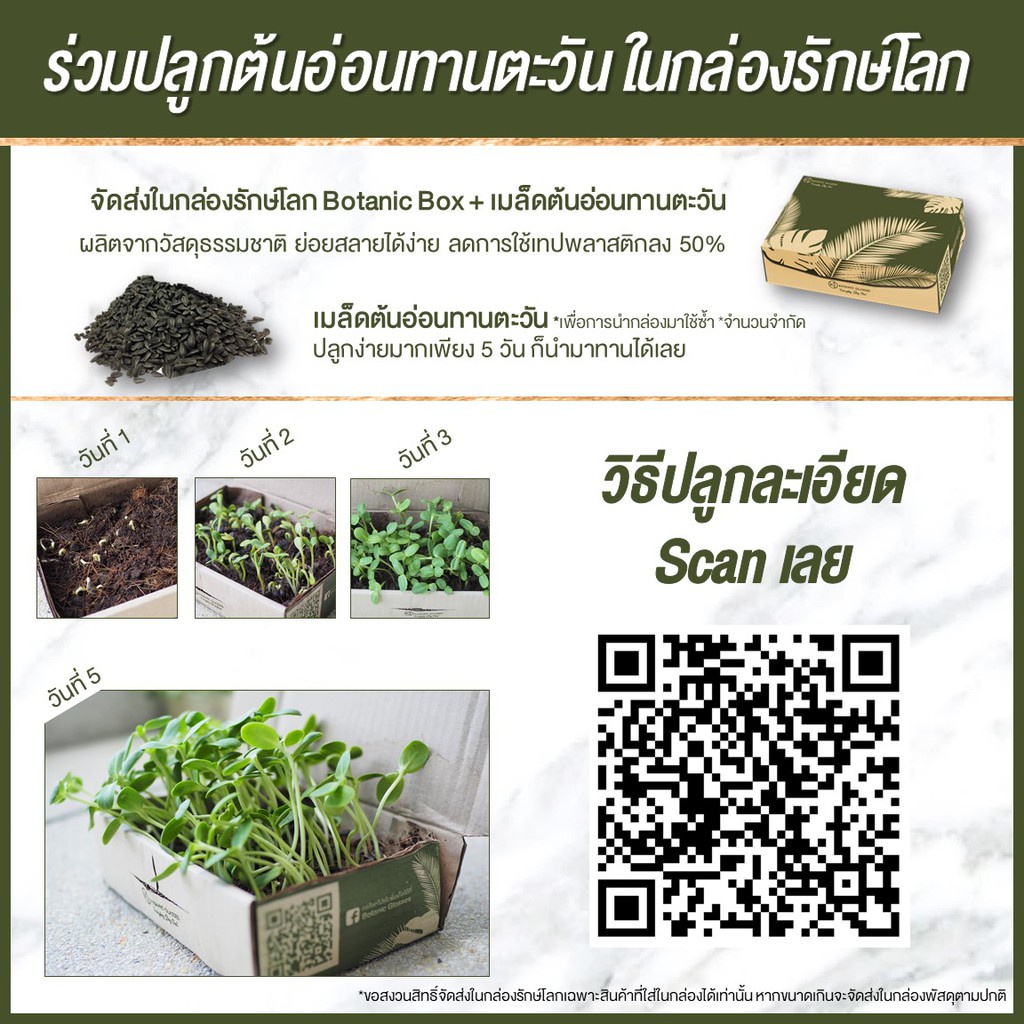 botanic-glasses-กระเป๋าใส่แว่น-รุ่นพิเศษ