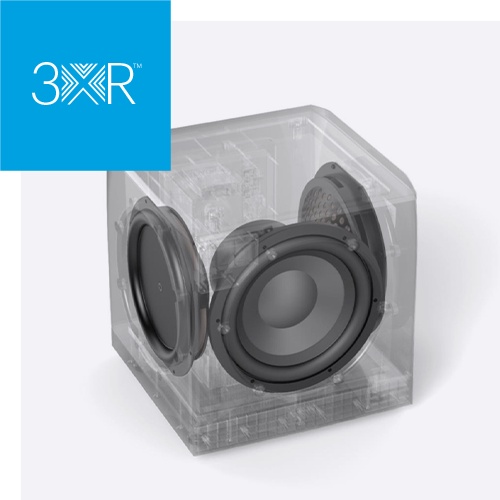 definitive-technology-dn10-subwoofer-500w-10