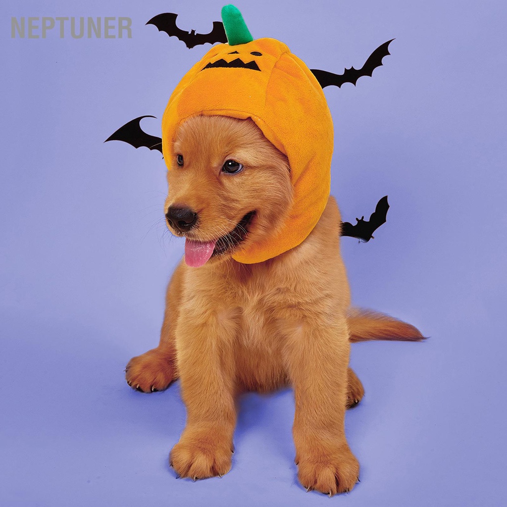 neptuner-หมวกฟักทองน่ารัก-แบบนิ่ม-ปรับขนาดได้-ให้ความอบอุ่น-สําหรับสัตว์เลี้ยง-สุนัข-กระต่าย