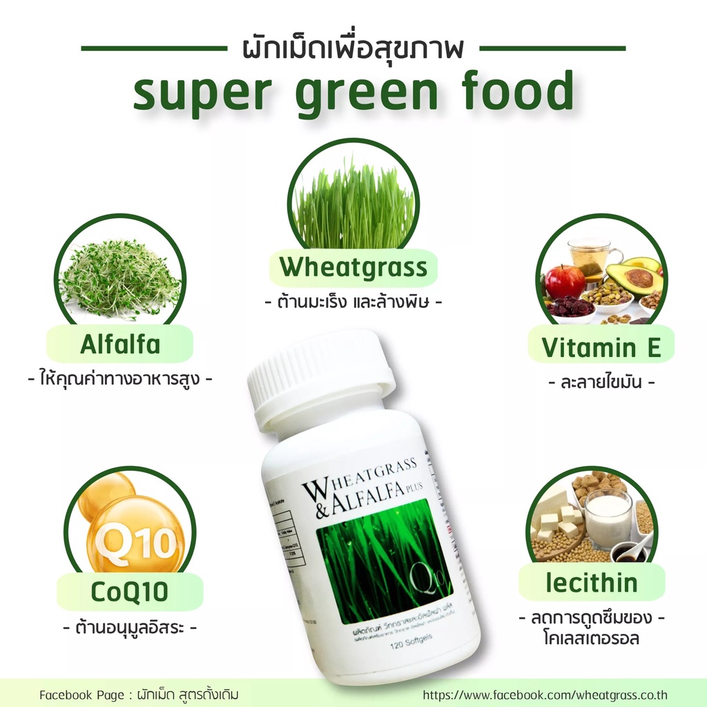 wheatgrass-amp-alfalfa-plus-ผลิตภัณฑ์อาหารเสริมแอมสตรอง-วีทกราส-อัลฟัลฟ่าพลัส-ผักเม็ดแท้-อาหารเสริมเพื่อสุขภาพ-สูตรดั้งเดิม