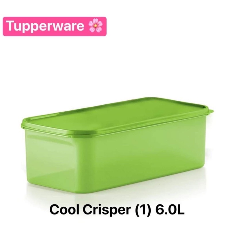 Tupperware รุ่น Cool Stacker มี2ขนาด | Shopee Thailand