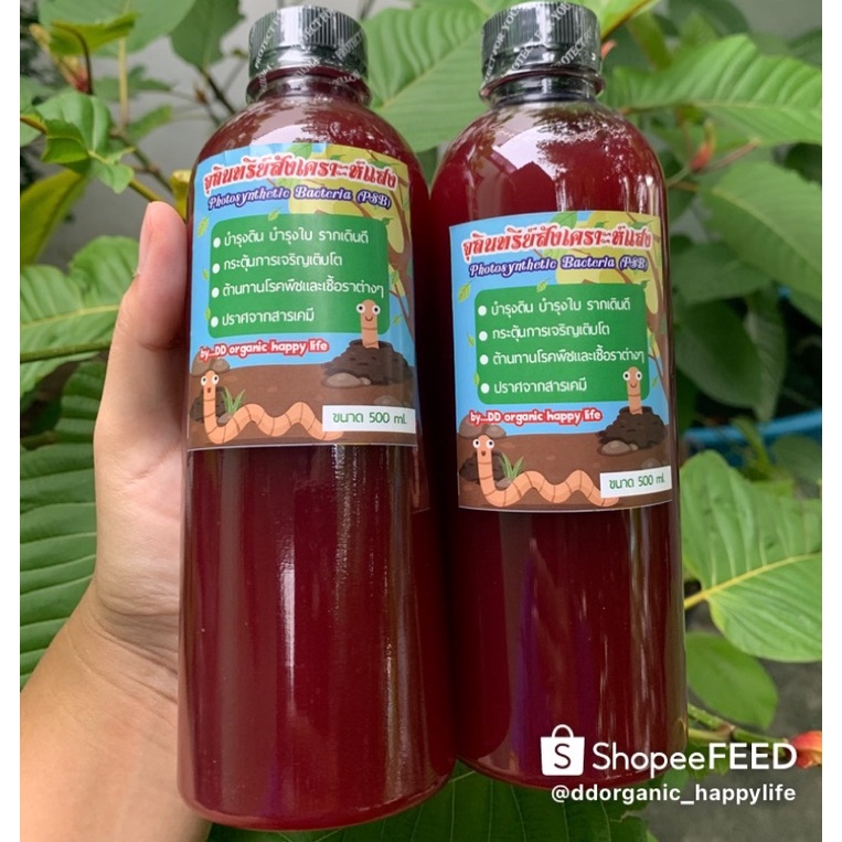 หัวเชื้อจุลินทรีย์สังเคราะห์แสง-ขนาด-500ml-อาหารต้นไม้และพืชผักทุกชนิด