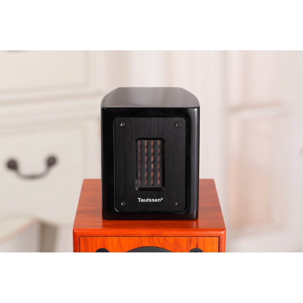 Black Piano Super Tweeter T3 ( Ribbon Tweeter ) รุ่นล่าสุด Gen 6 ช่วย ...