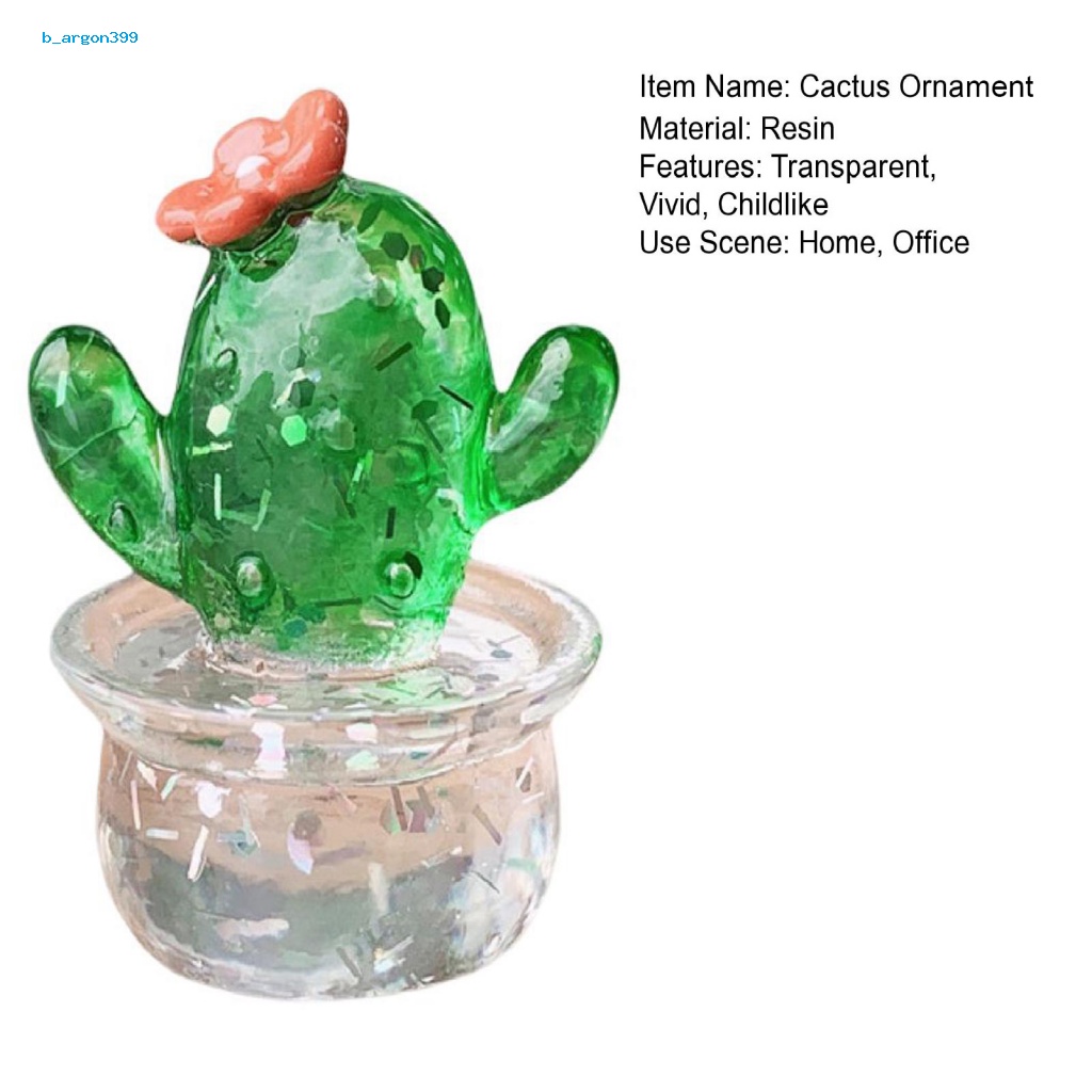 ne-cactus-ornament-transparent-visible-cactus-figurine-eye-catching