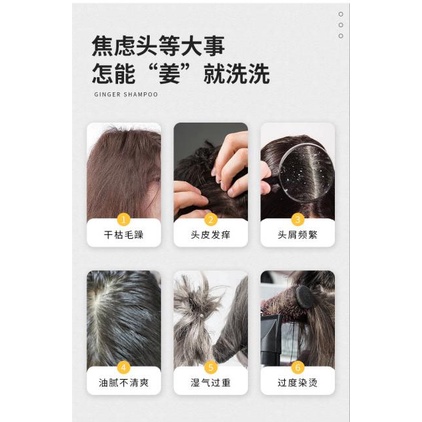 shampoo-conditioner-and-hair-แชมพู-ครีมนวดบำรุงหนังศรีษะและเส้นผม