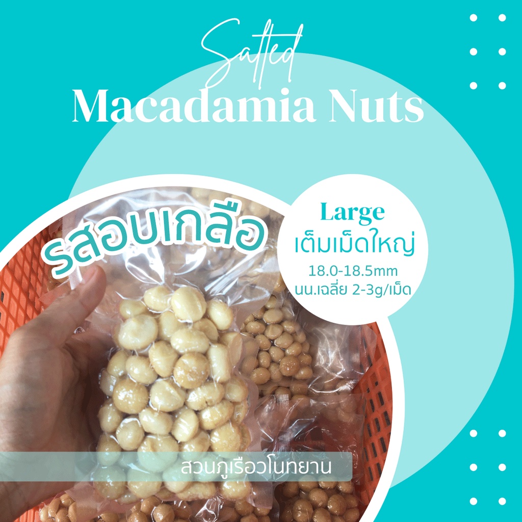 แมคคาเดเมีย-รสอบเกลือ-200-กรัม-เต็มเม็ดใหญ่-salted-macadamia-nuts-200g