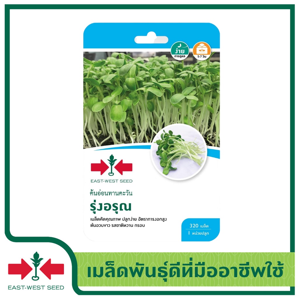 ศรแดง-เมล็ดพันธุ์ต้นอ่อนทานตะวัน-รุ่งอรุณ-east-west-seed-เมล็ดพันธุ์-ผักสวนครัว-ตราศรแดง