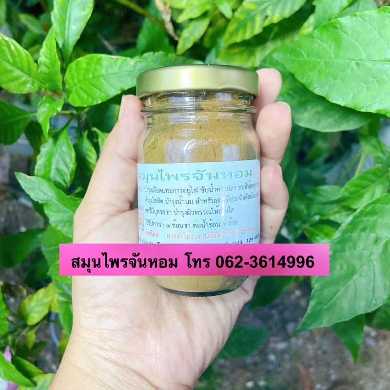 ยาสตรีบ้านใบบุญ-บำรุงเลือดลม-บำรุงผิวพรรณ-ปวดประจำเดือน-แก้อาการนอนไม่หลับ-เวียนหัวบ่อย