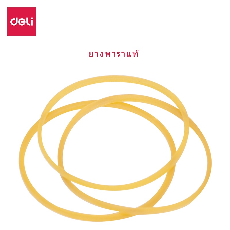 deli-หนังยางวงเล็ก-50g-กล่อง-ยางวง-ยางรัดของ-ยางมัดถุง-หนังยางรัดของ-หนังยางรัดถุงแกง-หนังยางวงใหญ่-rubber-bands