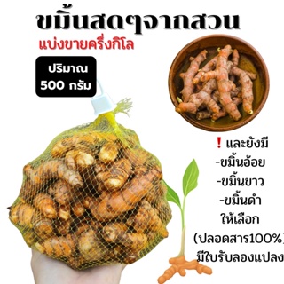 ภาพหน้าปกสินค้าขมิ้นชัน สด 500 กรัม แบ่งขาย และขมิ้นอ้อย,ขมิ้นชันแดง,ขมิ่นตากแห้ง จากสวนอินทรีย์แบบมีส่วนร่วม ที่เกี่ยวข้อง