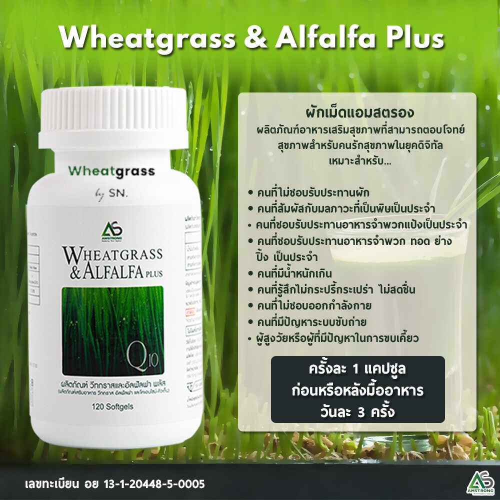 wheatgrass-amp-alfalfa-plus-ผลิตภัณฑ์อาหารเสริมแอมสตรอง-วีทกราส-อัลฟัลฟ่าพลัส-ผักเม็ดแท้-อาหารเสริมเพื่อสุขภาพ-สูตรดั้งเดิม