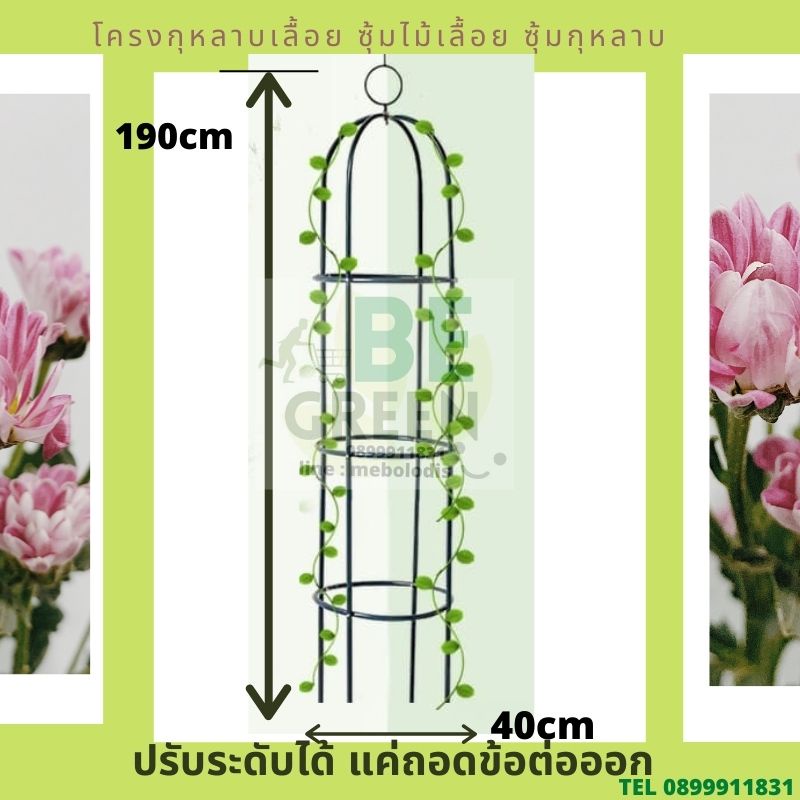 ซุ้มกุหลาบ-โครงกุหลาบ-ซุ้มไม้เลื้อย-190ซม-โครงเหล็ก-ซุ้มดอกไม้-กุหลาบเลื้อย-สีขี้ม้า-ปรับระดับได้-ร้านไทย-ประกันสินค้า