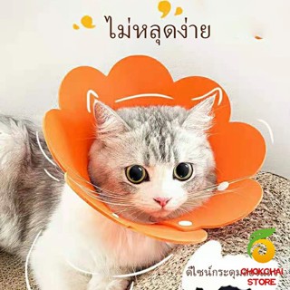 Chokchaistore คอลล่าแมว ปลอกคอดอกไม้ ปลอกคอกันเลีย คอลล่าสุนัข  Cat coll