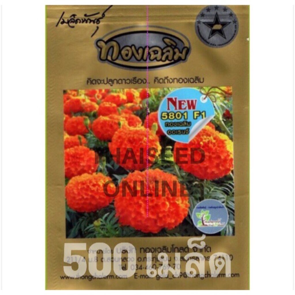 ภาพสินค้าใหม่ล่าสุด  เมล็ดพันธุ์ ดาวเรืองทองเฉลิม 5801 สีส้มจัด 500 เมล็ด จากร้าน thaiseedonline บน Shopee ภาพที่ 2