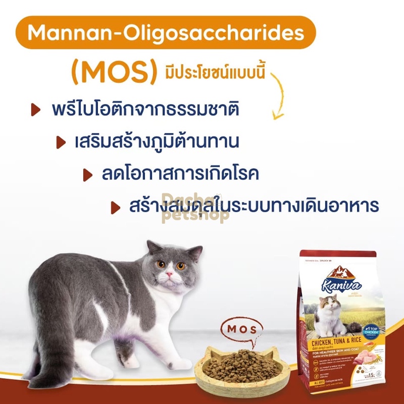 อาหารแมว-kaniva-คานิว่า-อาหารแมวคานิว่า-อาหารแมวชนิดเม็ด-อาหารแมว-ถุง-8kg-10kg