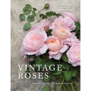 Vintage Roses : Beautiful Varieties for Home and Garden