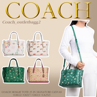 COACH MOLLIE TOTE 25 WITH MYSTICAL FLORAL PRINT (C4084//C8613//C8217//CA252)