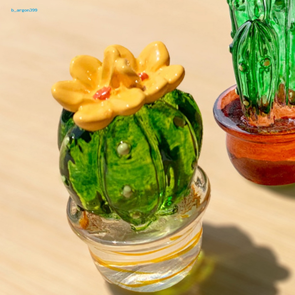 ne-cactus-ornament-transparent-visible-cactus-figurine-eye-catching