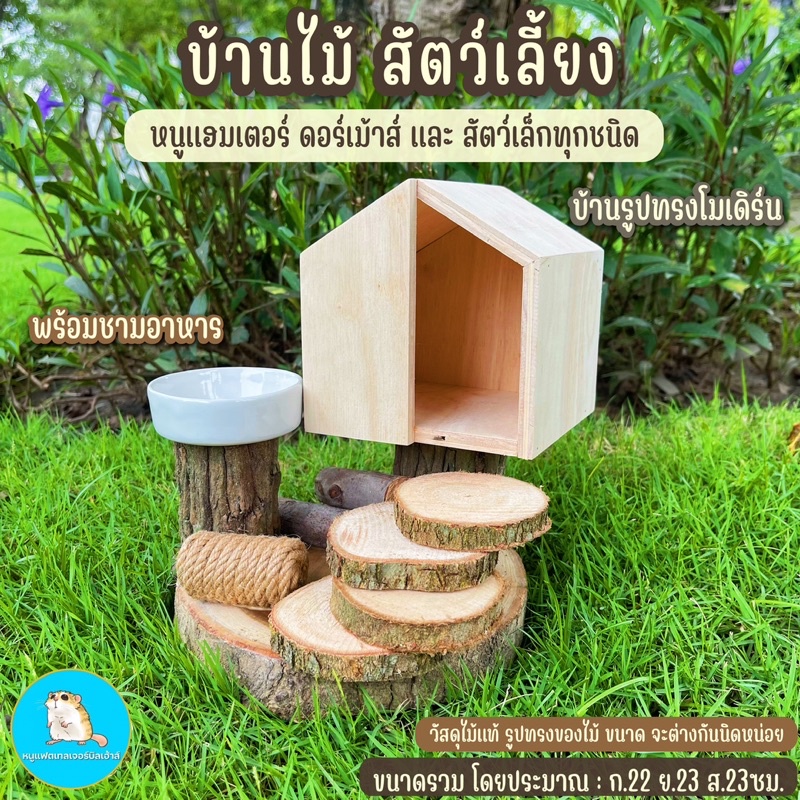 บ้านไม้แฮมเตอร์-บ้านหนู-พร้อมชามอาหาร-ตกแต่งสไตล์ธรรมชาติ-งานไม่ซ้ำใคร-บ้านกระรอก-บ้านหนู-บ้านดอร์เม้าส์-บ้านไม้