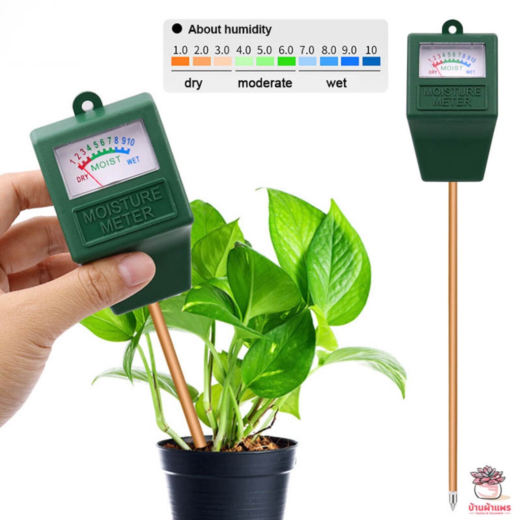 เครื่องวัดความชื้นในดิน-moisture-meter-แคคตัส-กระบองเพชร-ไม้อวบน้ำ-cactus-amp-succulent