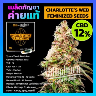 เมล็ดพันธุ์กัญชา Charlottes Web FEMINIZED โฟโต้ เพศเมีย เมล็ดกัญชานอก CBD สูง 12% เมล็ดค่าย Blimburnseeds แบ่งขาย