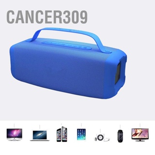 Cancer309 ลําโพงซับวูฟเฟอร์บลูทูธไร้สาย Hifi แบบพกพา พร้อมที่จับ สําหรับโทรศัพท์มือถือ แล็ปท็อป