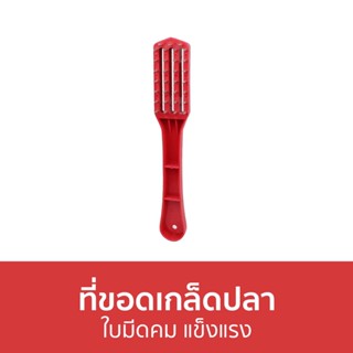 ที่ขอดเกล็ดปลา ใบมีดคม แข็งแรง - ที่ขูดเกล็ดปลา ขอดเกล็ดปลา ที่ขอดเกร็ดปลา ขอดเกล็ด เครื่องถอดเกล็ดปลา