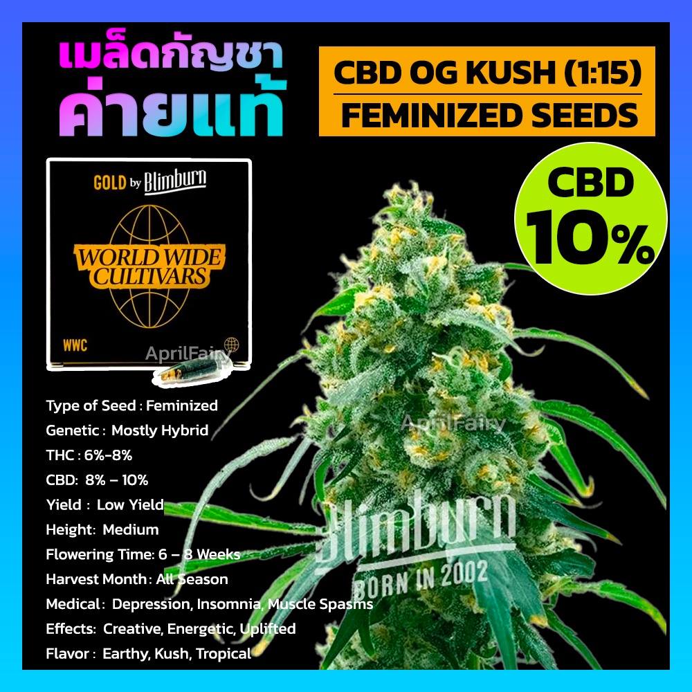  CBD OG Kush 1 15 FEMINIZED 