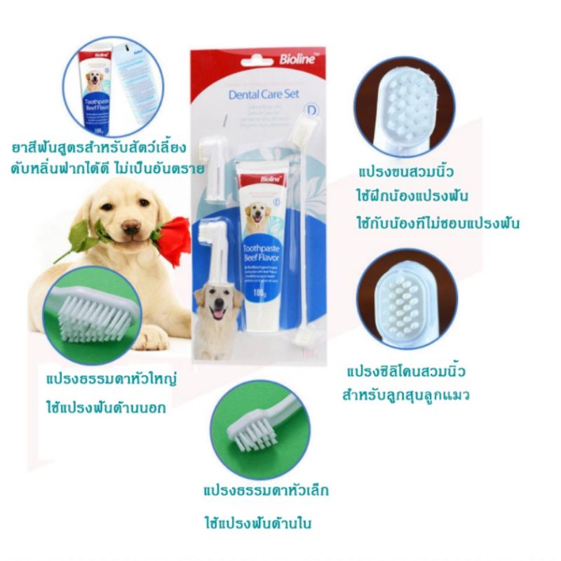 ภาพหน้าปกสินค้าชุดแปรง​ฟัน​สุนัข​และ​แมว​ Bioline​ หลาย​รสชาติ จากร้าน plemeranian บน Shopee
