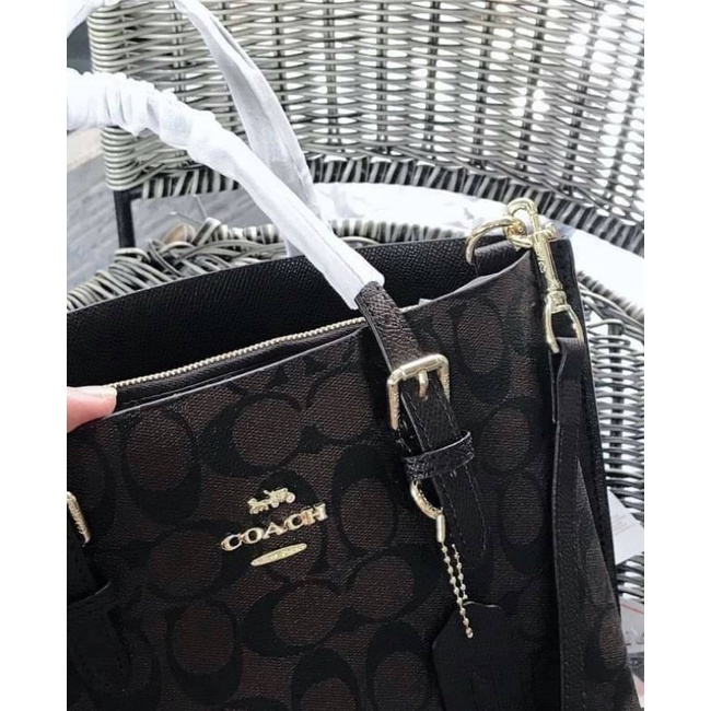 new-coach-mollyเกรดมิลเลอร์