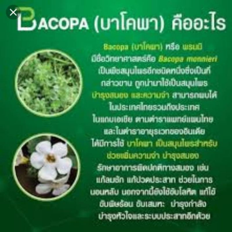 บาโคพา-บำรุงสมอง-บาโคพา-สารสกัดจากพรมมิ