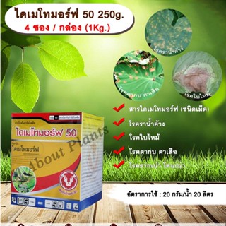 ไดเมโทมอร์ฟ 50 4 ซอง 1 กล่อง (1kg.) ไดเมโทมอร์ฟ สารกำจัดกำจัดเชื้อรา สารกำจัดโรคพืช โรคราน้ำค้าง โรคใบไหม้ โรครากเน่าโคน