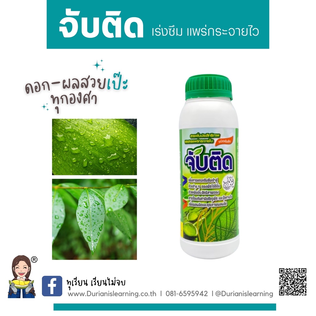 จับติด-แพร่กระจายไว-จับใบ-จับดี-ติดทนนาน