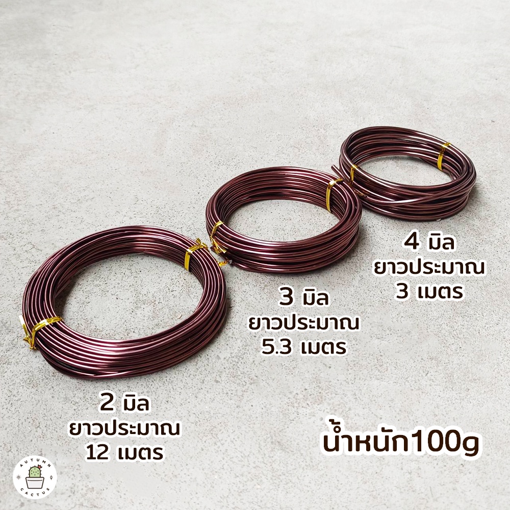 ลวดบอนไซ-ลวดดัดบอนไซ-ลวดอะลูมีเนียม-เคลือบสีน้ำตาล-2มิล-3มิล-4มิล-ไม่เป็นสนิม