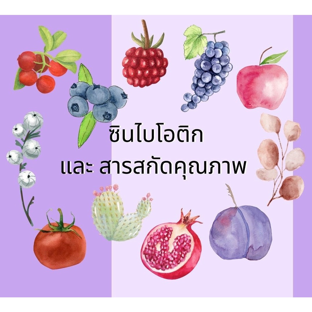 synbio-ซินไบโอ-พลัส-ผลิตภัณฑ์อาหารเสริม-กระตุ้นระบบขับถ่ายพร้อมปรับสมดุลร่างกาย