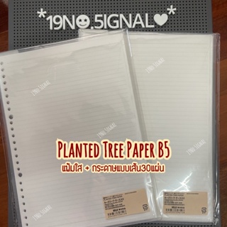 Planted Tree Paper : กระดาษรีฟีล สำหรับเติมสมุดแฟ้ม MUJI