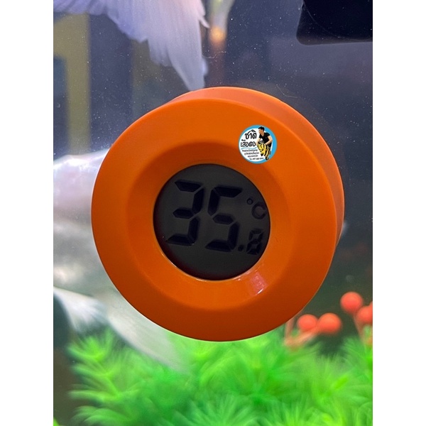 เทอร์โมมิเตอร์ดิจิตอลหลากสี-วัดอุณหภูมิน้ำในตู้ปลา-ติดหน้าตู้ปลา-digital-thermometer