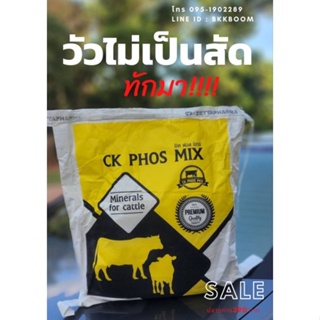 ภาพขนาดย่อสินค้าCK PHOS MIX อาหารเสริมบำรุงวัว ซีเค ฟอส มิกซ์ พรีมิกซ์ระเบิดน้ำนมวัว เร่งกลับสัด ระเบิดโครงสร้างวัว 5 กิโลกรัม สุดคุ้ม