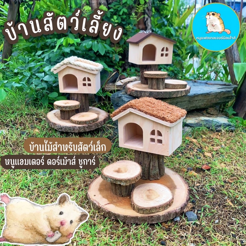 บ้านหนู-บ้านไม้แท้-บ้านสัตว์เลี้ยง-บ้านแฮมเตอร์-บ้านดอร์เม้าส์-บ้านชูการ์-บ้านหนูแฮมเตอร์-บ้านหนูแฟตเทล