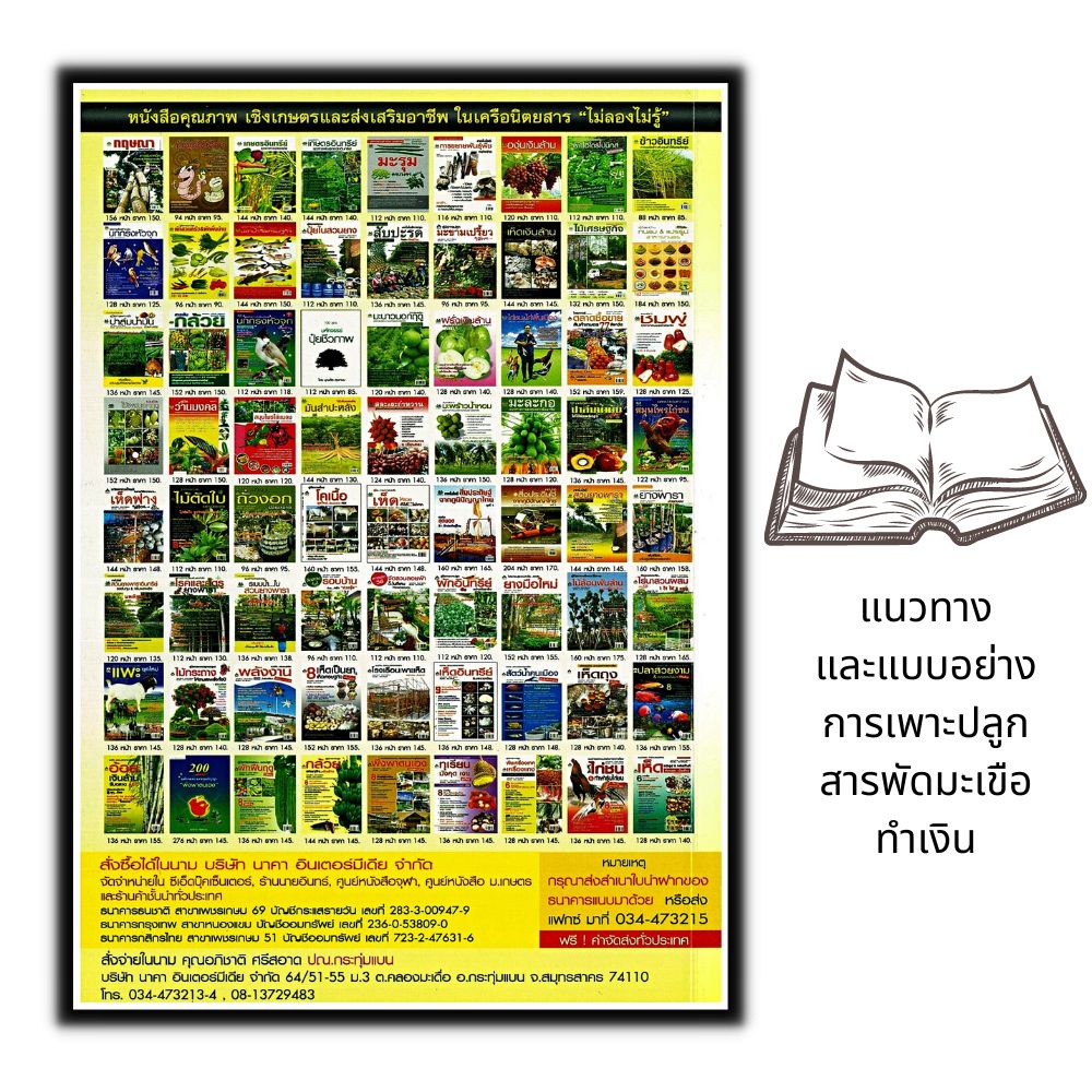 หนังสือ-แนวทาง-และแบบอย่างการเพาะปลูกสารพัด-มะเขือ-ทำเงิน-พืชและการเกษตร-การปลูกผัก-คู่มือการเพาะปลูก-การปลูกมะเขือ