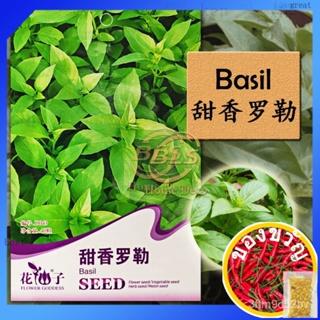 D043 basil basil herb SEED strip/tongqi/bra/cinnam/ เซล็ตต์/ไม้จันทน์/สร้อยข้อมือ/สวน/สวน/ 82KR